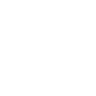 Meta Solution Partner